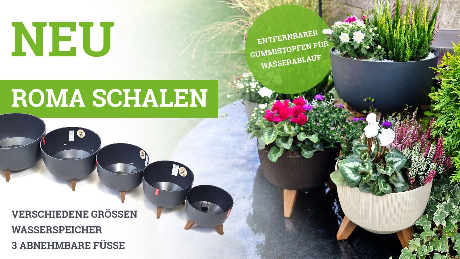 roma_schalen_banner_bosse-direkt