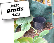 Giesstrichter mittig verwenden