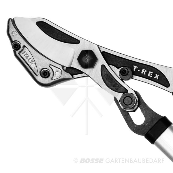 10437-VESCO-Amboss-Astschere-detail