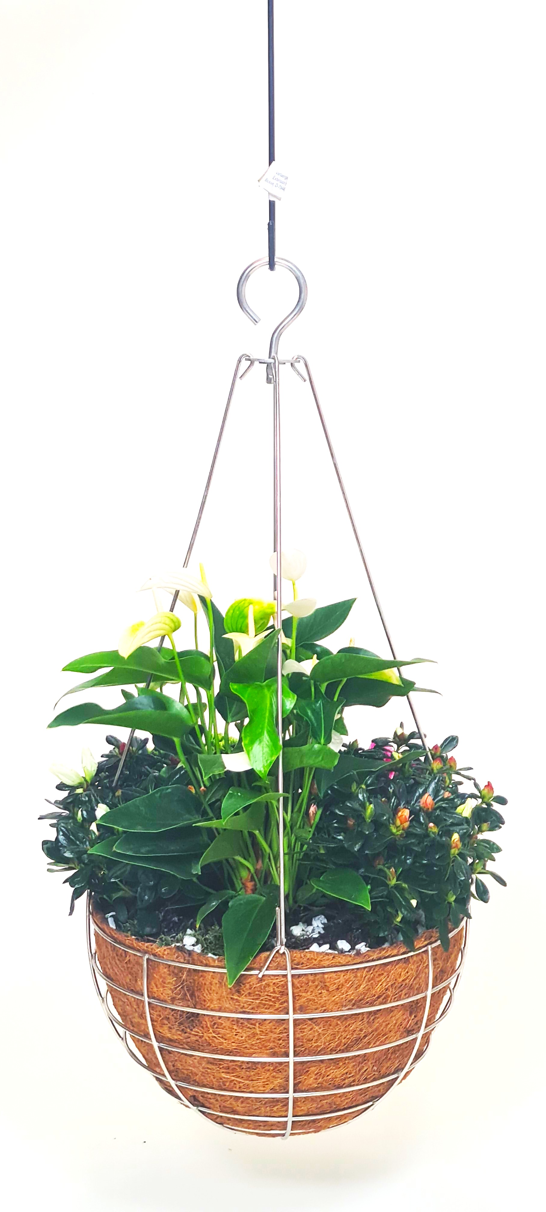 Hanging Basket Edelstahl