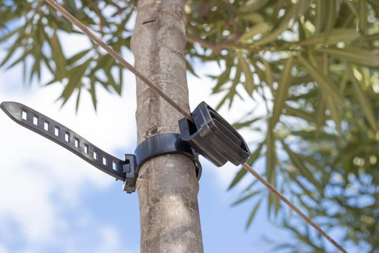 Baumanbinder Agilo-Draht