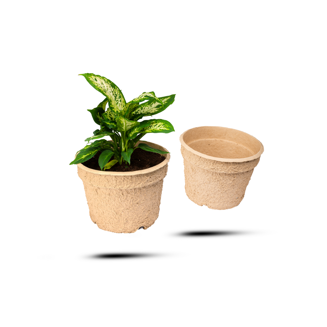 Pflanztopf kompostierbar  5 Liter