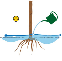 Treegator-schema2.jpg?ts=1744804309
