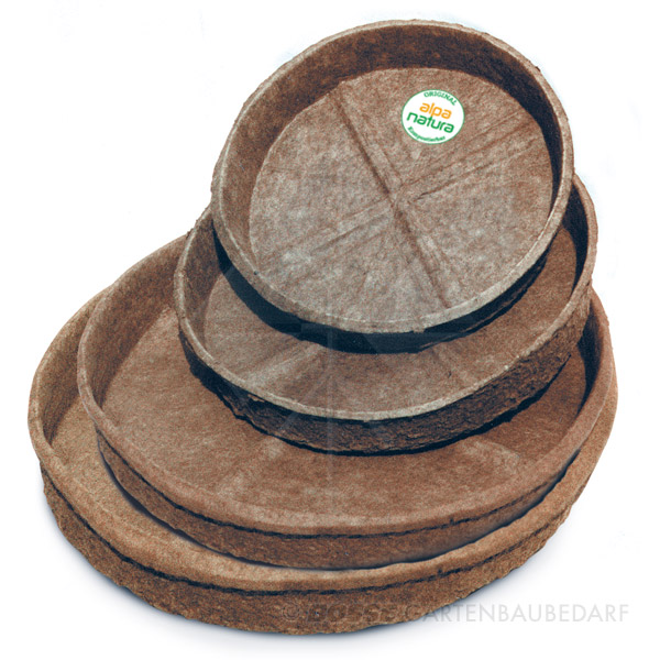 Flachschalen-LD Flachschale alpa natura