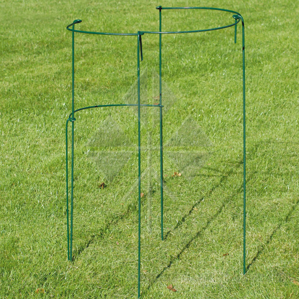 Staudenstuetzen