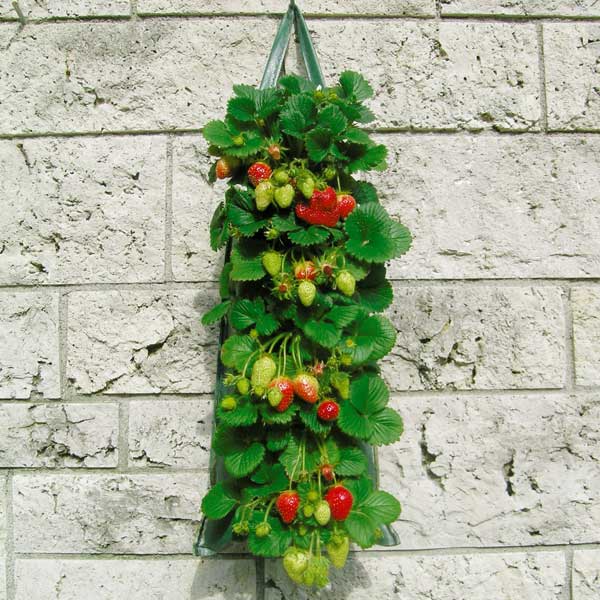 Pflanzbeutel-Beispiel2