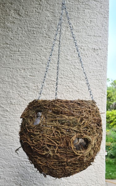 Hanging Basket Mooskugel